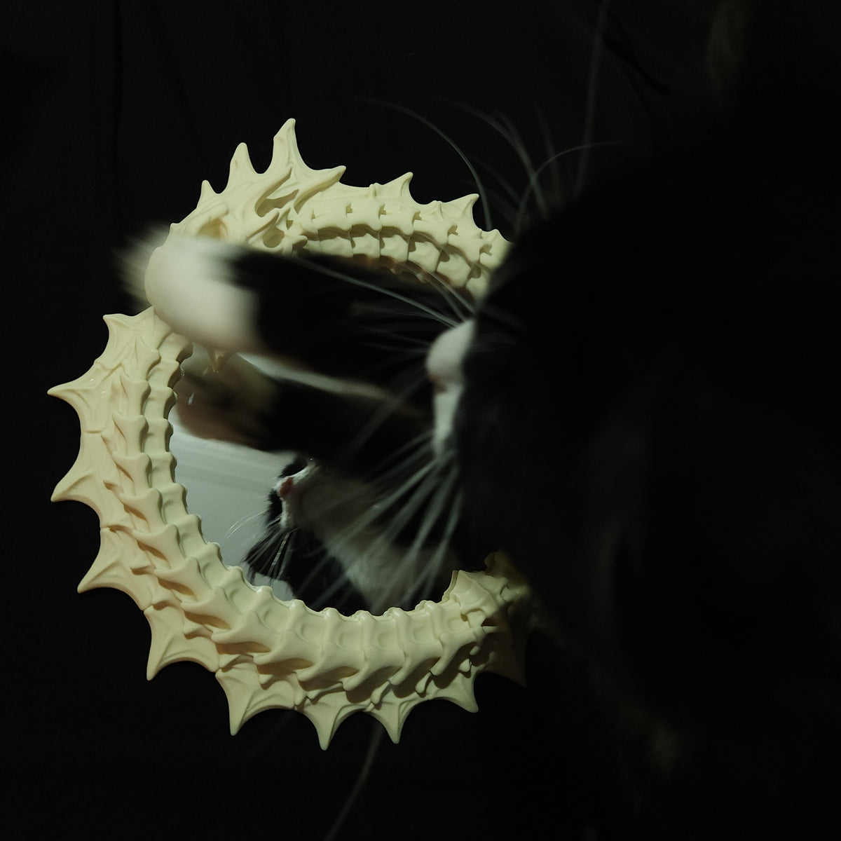 Ouroboros Acrylic Mirror Wall Hanging