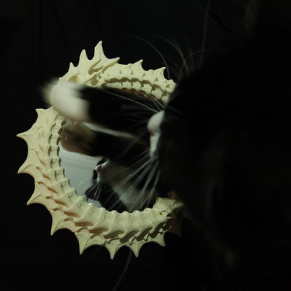 Ouroboros Acrylic Mirror Wall Hanging