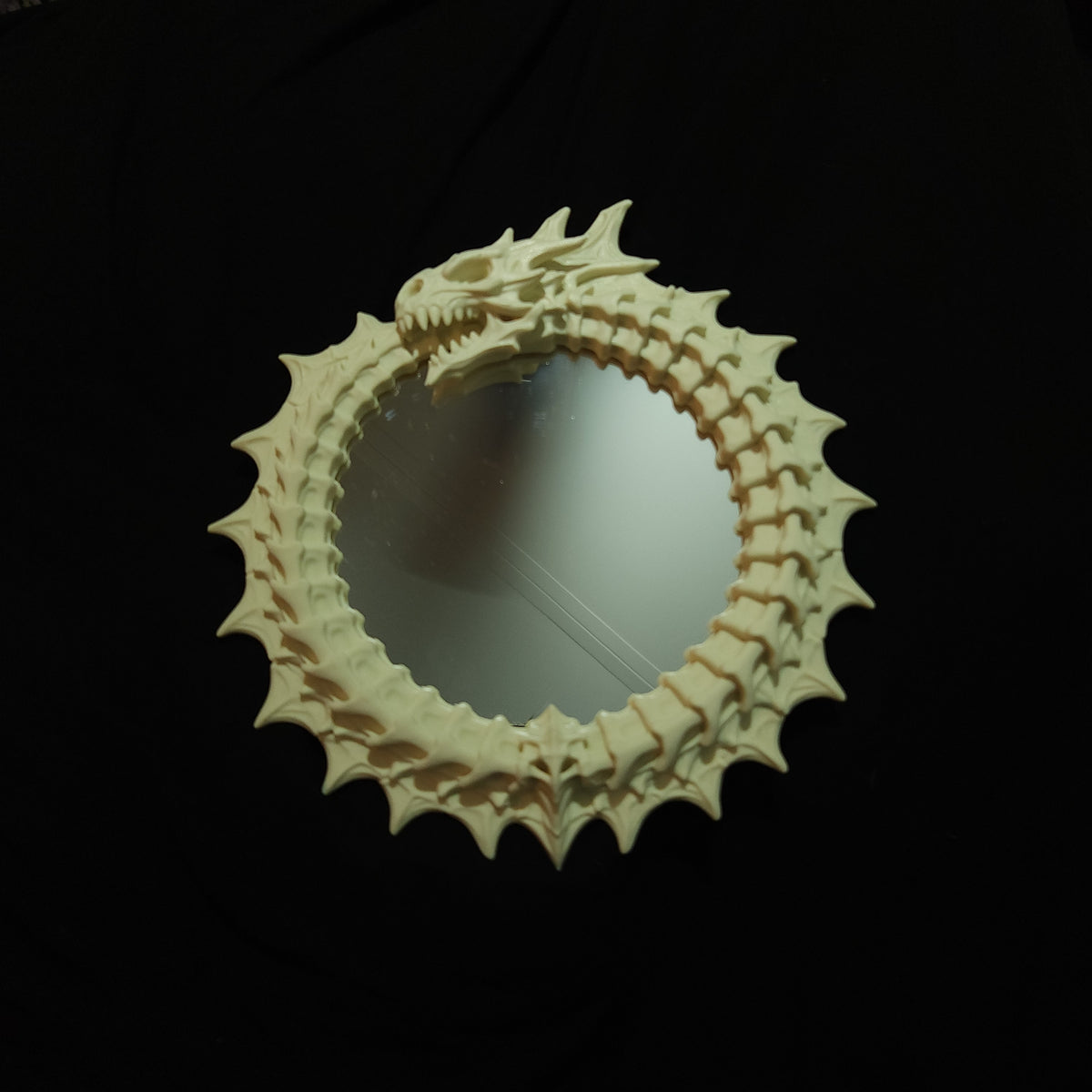 Ouroboros Acrylic Mirror Wall Hanging