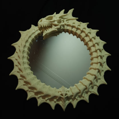 Ouroboros Acrylic Mirror Wall Hanging